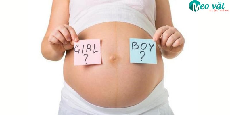 Tìm hiểu quá trình hình thành giới tính thai nhi