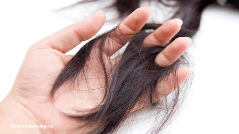 Chia sẻ 9 mẹo ngăn ngừa rụng tóc và hói đầu hiệu quả tại nhà