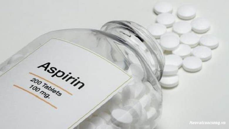 Thuốc Aspirin trị ong đốt hiệu quả